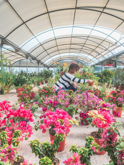Vista lateral da mulher sentada em hunkers no mercado de flores e escolhendo plantas dentro de casa — Fotografia de Stock