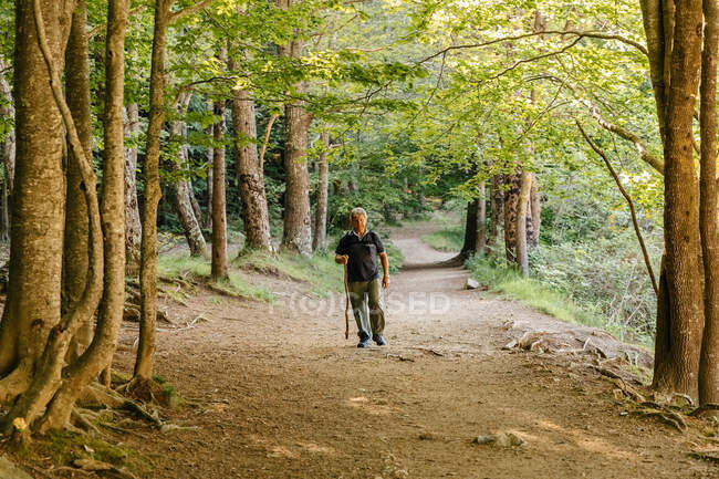 Uomo anziano che fa trekking in montagna — Foto stock