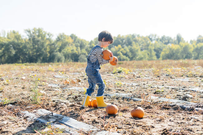 Vista laterale del bambino laborioso in denim e stivali di gomma gialli con zucche arancioni su aia — Foto stock