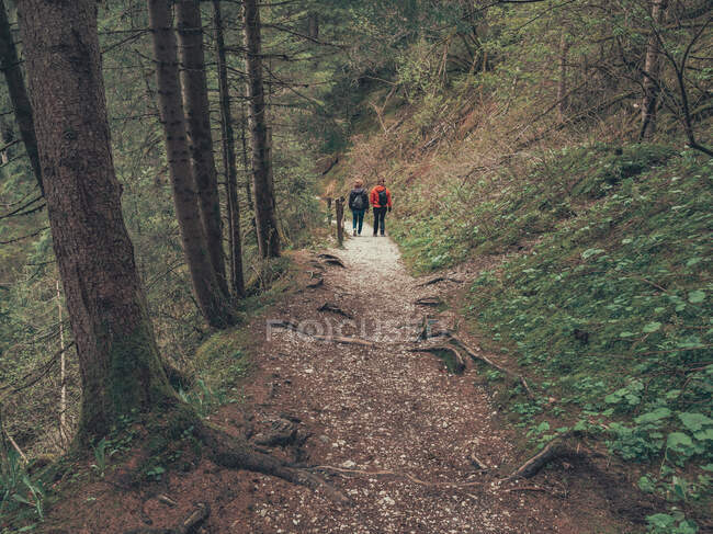 Vista posterior de los excursionistas que admiran la vista mientras caminan por el camino entre la zona salvaje en Dolomitas, Italia - foto de stock