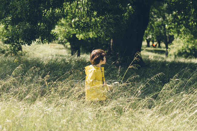 Neugieriges Kind in gelbem Regenmantel spaziert im Sommer im hohen Feldgras zwischen Bäumen — Stockfoto