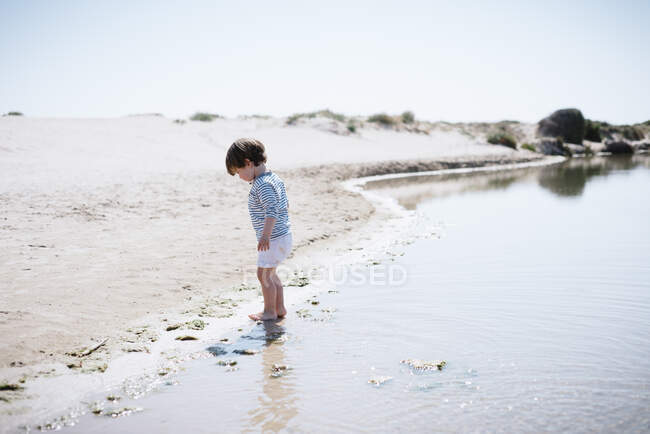 Vista lateral de bebé lindo de pie con los pies desnudos en la arena y mirando el mar tranquilo brillante en la hermosa playa en el día soleado - foto de stock