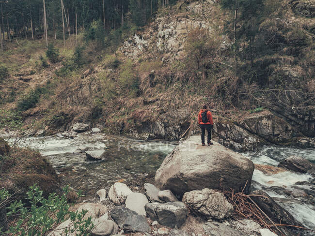 Vista posteriore del turista che si erge su una grande pietra e gode di una vista panoramica sul fiume di montagna nelle Dolomiti — Foto stock