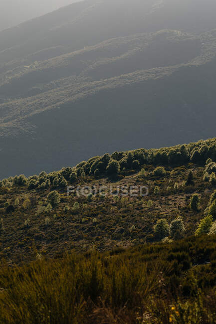 Paysage incroyable de vallée dans les hautes montagnes avec une végétation verte — Photo de stock