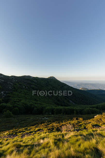 Incredibile paesaggio di valle in alta montagna con vegetazione verde — Foto stock