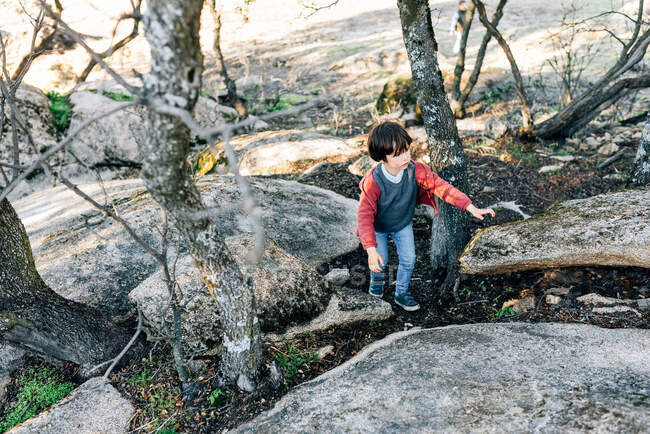 From above of curious boy strolling among rocks and trees on hillside while exploring nature — Stock Photo