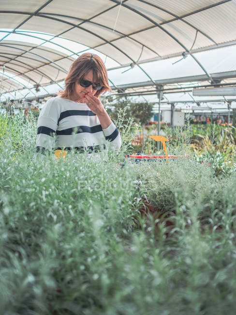 Mulher pensativa em óculos de sol andando em estufa e estudando plantas — Fotografia de Stock