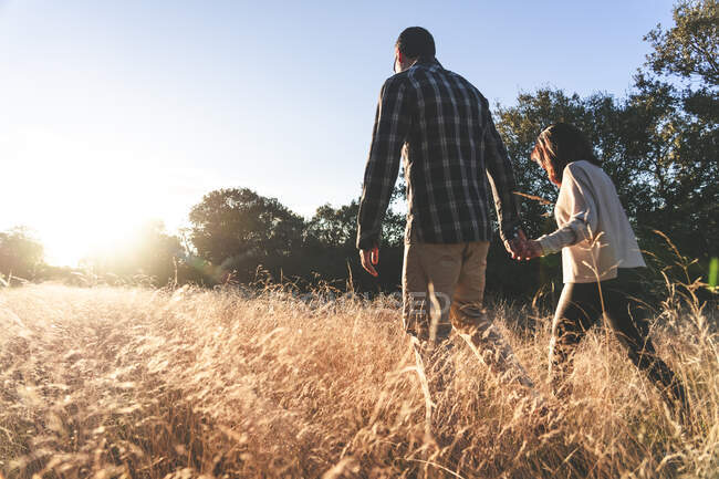 From below side view of man and woman holding hands while walking in high golden grass of country field in sunset — Stock Photo
