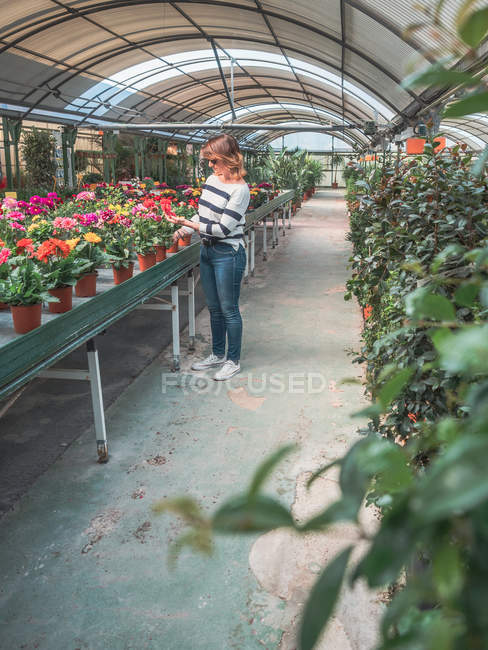 Donna che studia fiori in serra — Foto stock
