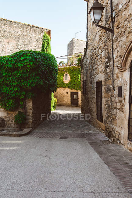 Vista medieval aldeia e edifícios vista rastejando plantas — Fotografia de Stock