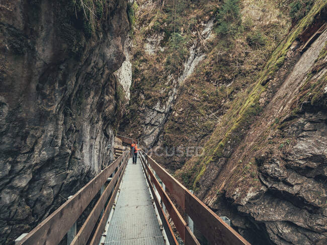 Вид сзади путешественника на пешеходную тропу, окруженную величественными горами в Димитесе, Италия — стоковое фото
