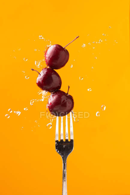 Composición de sabrosas cerezas jugosas sobre un tenedor con agua salpicada sobre fondo amarillo brillante - foto de stock