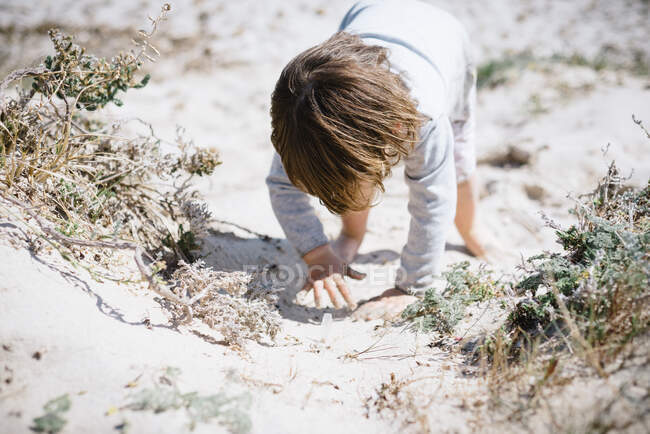 Lindo niño curioso explorando el espacio a mano y arrastrándose en la playa de arena polvorienta - foto de stock