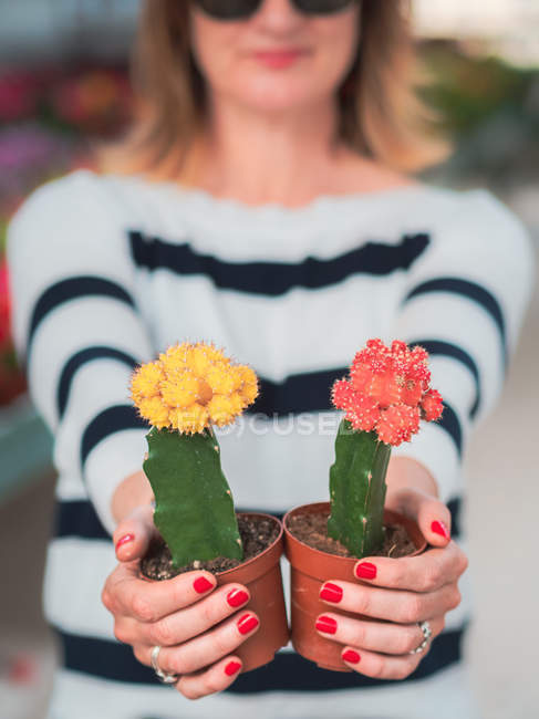 Cropped image of woman with blooming cactus plant — Stock Photo
