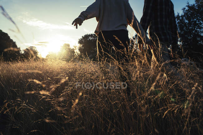 Loving couple walking in golden rural field — Stock Photo