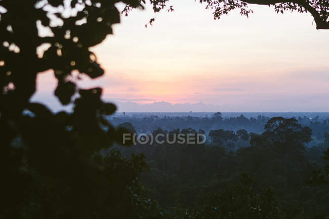 Paysage de bois tropicaux verts avec brouillard nocturne et ciel couchant, Thaïlande — Photo de stock