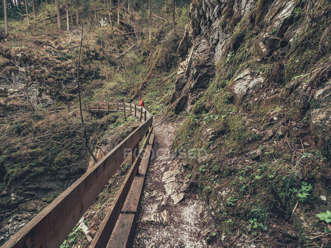 Turista che ammira la maestosa vista delle Alpi e del torrente di montagna mentre cammina sul sentiero escursionistico nelle Dolomiti — Foto stock