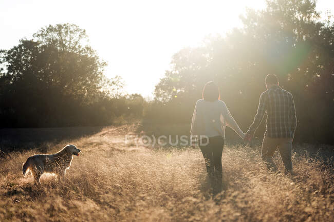 Casal com cão no campo ao pôr do sol — Fotografia de Stock