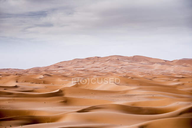 Paesaggio del deserto con colline di sabbia a Marrakech, Marocco — Foto stock