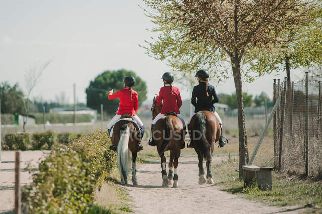 Back view of row of anonymous teen women riding horses in row strolling down roadway in sunlight — Stock Photo