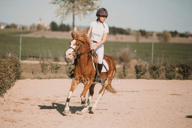 Adolescente jockey no cavalo montando na pista de corridas em um dia ensolarado — Fotografia de Stock