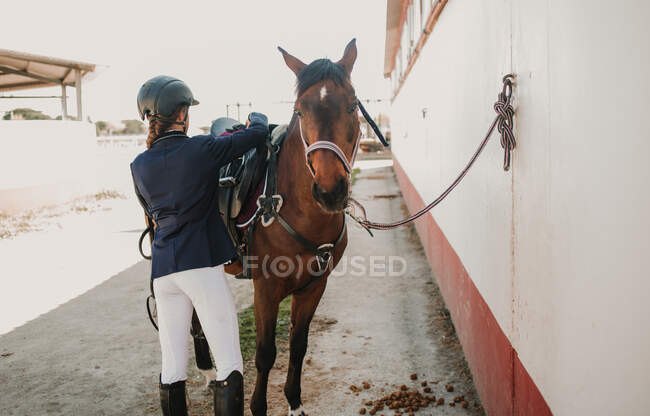 Back view of anonymous young teen woman in jockey helmet and jacket caressing horse standing together outdoors — Stock Photo