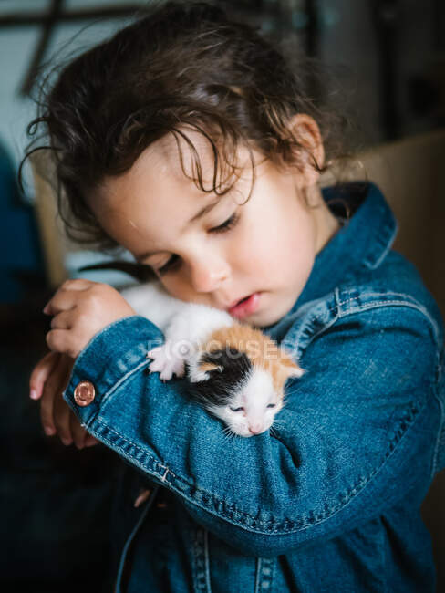 Adorable toddler girl in jean jacket holding tenderly three colored kitten at home — Stock Photo