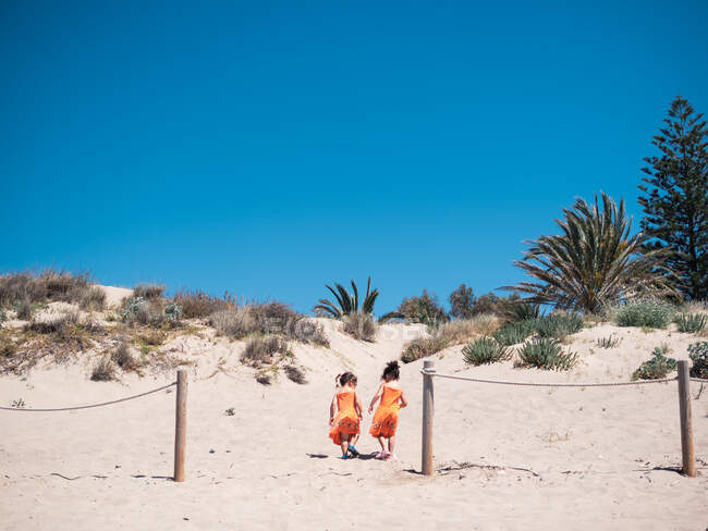 Vista trasera de las hermanas pequeñas en vestidos de color naranja brillante caminando juntas en la playa en un día soleado - foto de stock