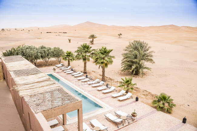 De cima de terraço de pedra com piscina e espreguiçadeiras entre palmeiras raras na areia do deserto, Marrocos — Fotografia de Stock