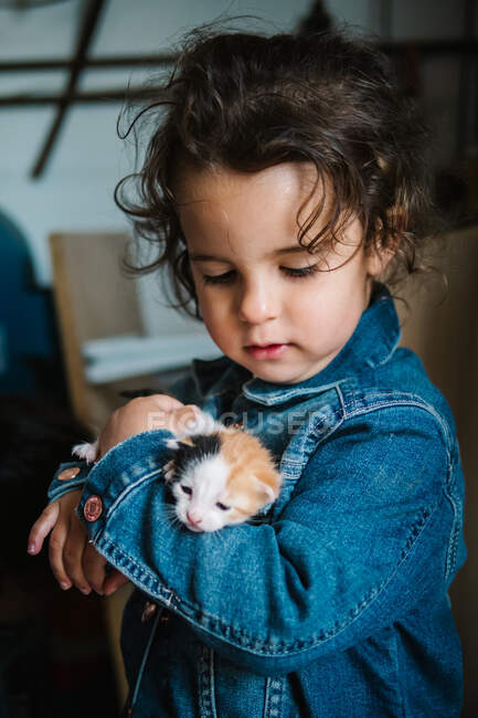 Adorável menina criança em jean jaqueta segurando ternamente três gatinho colorido em casa — Fotografia de Stock