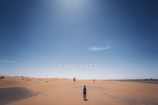 Homem barbudo em traje de cowboy olhando para longe enquanto estava no deserto contra o céu azul — Fotografia de Stock