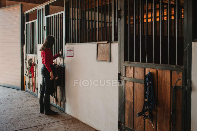 Vista lateral de la mujer de pie en las puertas con barras en el establo de caballos - foto de stock