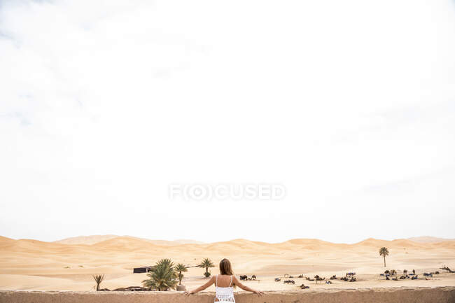 Back view of anonymous young woman in white top leaning on a wall looking away against endless sandy desert, Morocco — Stock Photo
