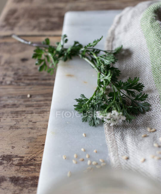 Rustic composition of green stem on board with rough fabric and oat grains on wooden table — Stock Photo