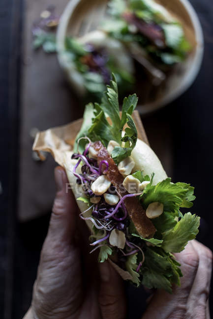 З руки зверху тримають смачний сендвіч Гуа Бао з беконом, арахісом і свіжою петрушкою. — стокове фото