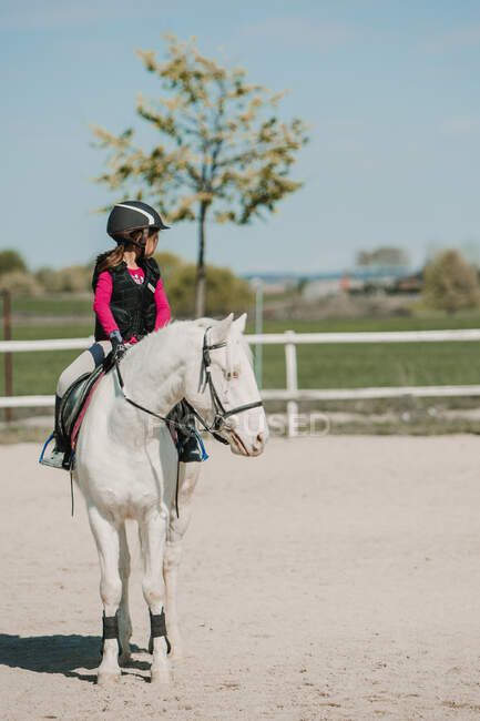 Determined girl jockey on horse riding on racetrack on a sunny day — Stock Photo