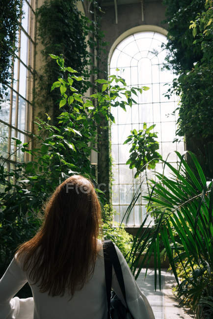 Back view of woman walking between green plants and bushes inside of old greenhouse with high ceiling and arched window, Scotland — Stock Photo