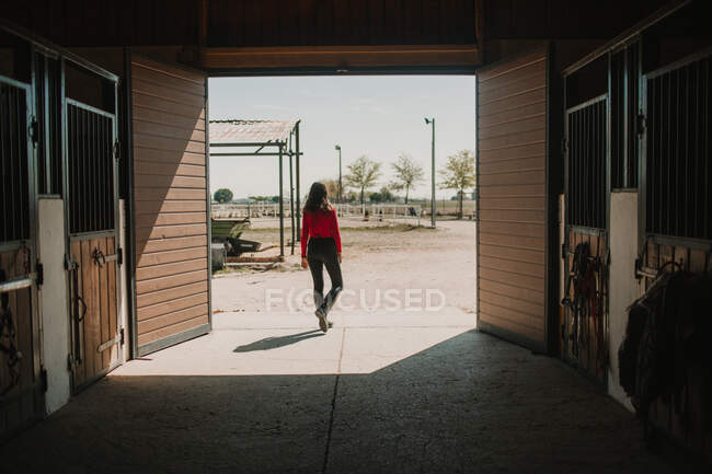 Vista trasera de la mujer que camina fuera del establo del caballo en el rancho en sol brillante - foto de stock