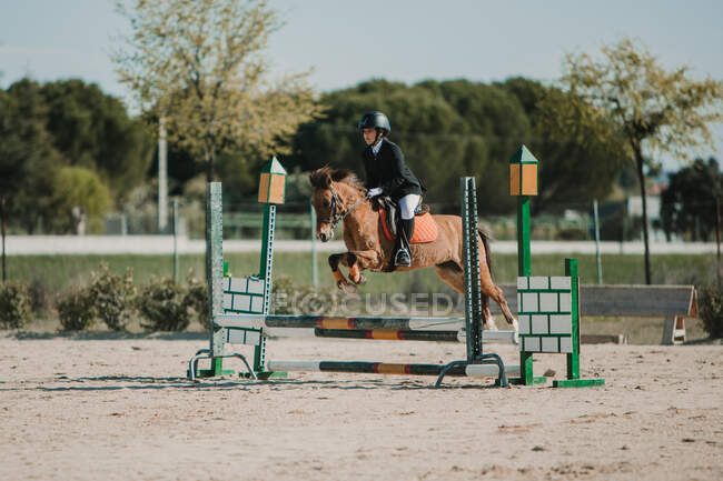 Vista laterale del fantino adolescente sul cavallo che salta su barre di legno orizzontali mentre cavalca su pista — Foto stock