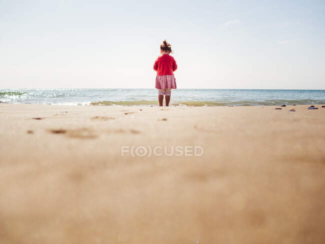 Back view of female toddler walking on sandy seaside on background of calm water — Stock Photo