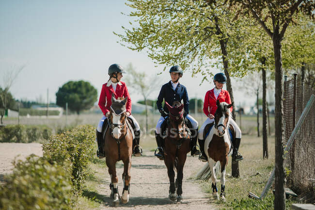 Ряд дівчат-підлітків верхи на конях в ряд, що йдуть по проїжджій частині в сонячному світлі — стокове фото