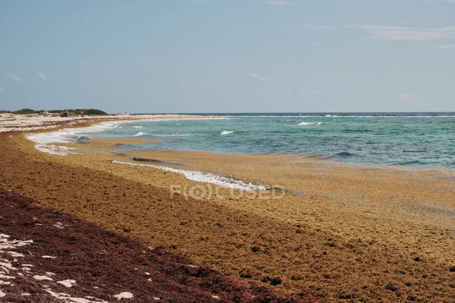 Spiaggia di sabbia serena e onde turchesi chiare — Foto stock