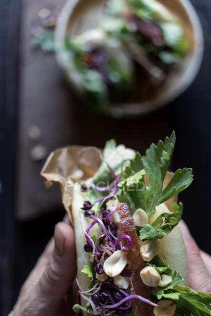 Von oben Hand mit leckerem Gua-Bao-Sandwich mit Speck, Erdnüssen und frischer Petersilie — Stockfoto