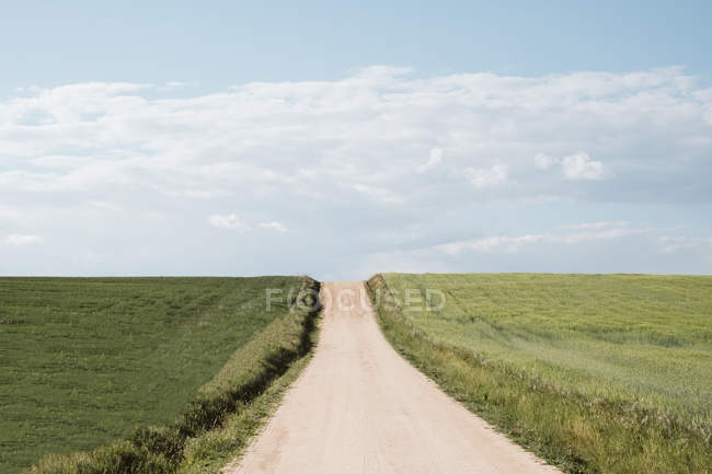 Deserted road going up between large green meadows in summer on blue sky background — Stock Photo