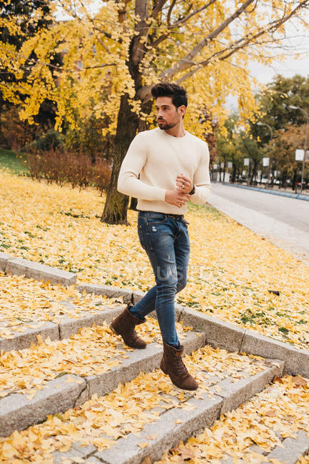 Glamorous handsome man in jeans and white sweater walking on yellow autumn leaves in city — Stock Photo
