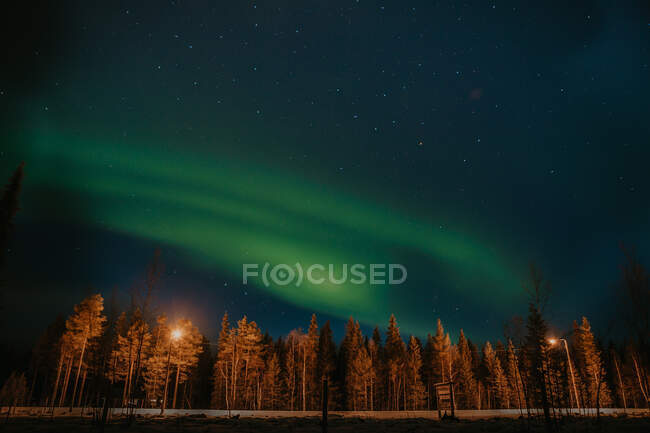 D'en bas ciel étoilé avec des lumières polaires vertes étonnantes sur la forêt de conifères en Finlande — Photo de stock