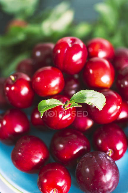 Fechar montão de cerejas maduras doces na placa em foco macio brilhando à luz do dia — Fotografia de Stock