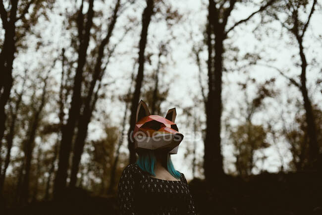 Anonymous female in paper fox mask walking in mysterious autumn forest in overcast weather. Concept of wildlife habitat protection — Stock Photo