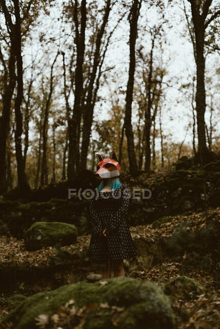 Anonymous female in paper fox mask walking in mysterious autumn forest in overcast weather. Concept of wildlife habitat protection — Stock Photo