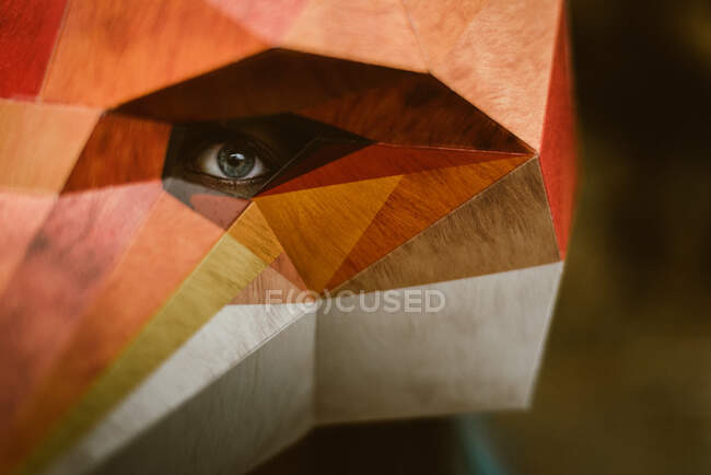 Close up of eye of Anonymous female in paper fox mask covering full head looking at camera. Concept of negative human impact on wildlife habitat — Stock Photo